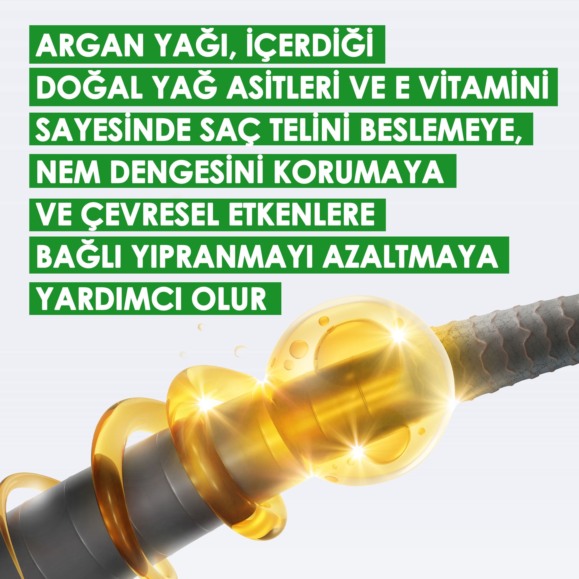 Argan Yağı