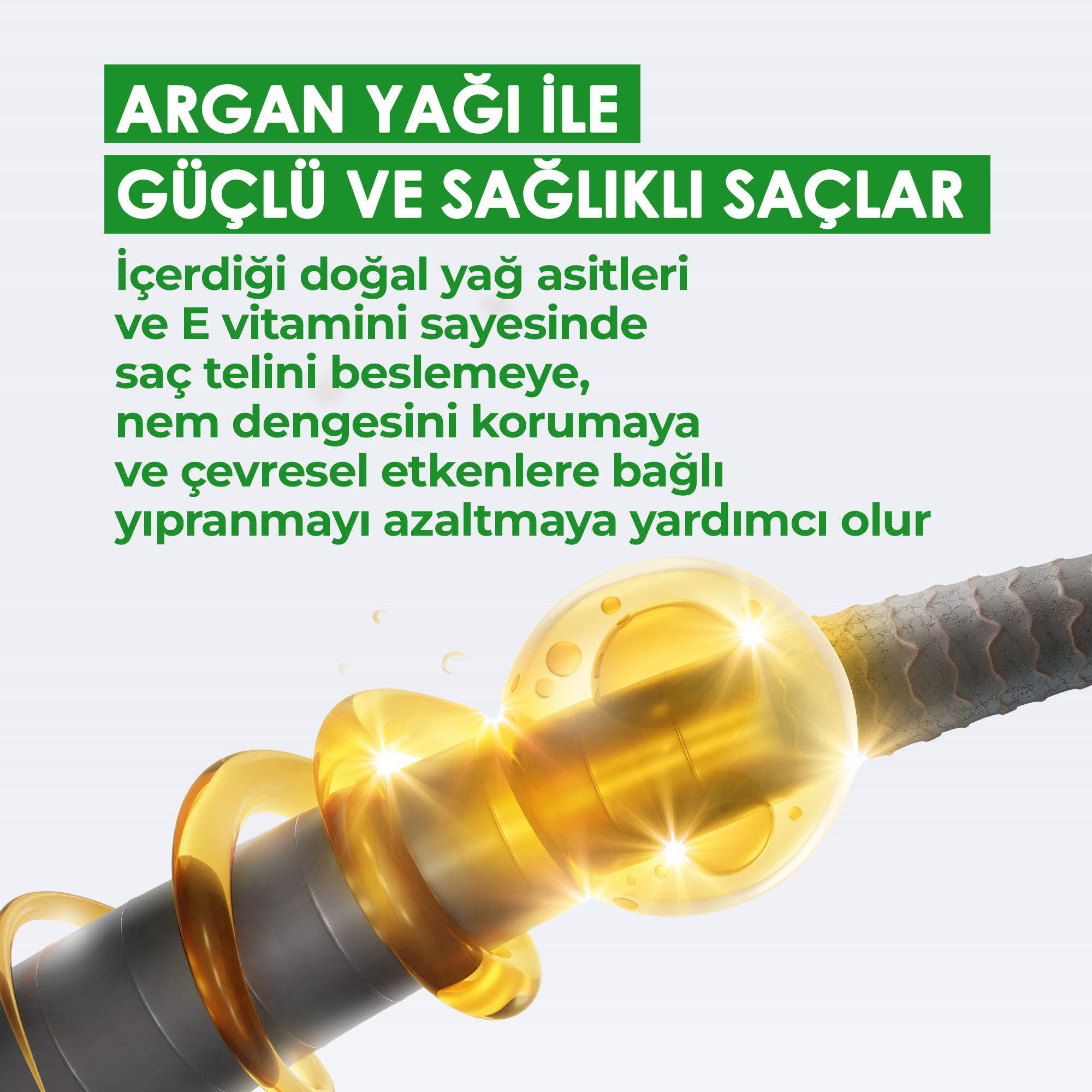 Argan Yağı